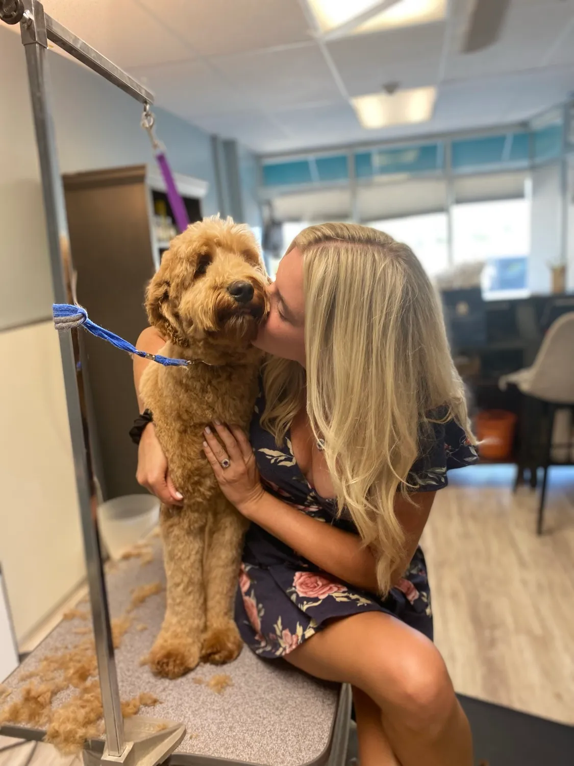 A groomer with a freshly groomed doodle inside Premier Pet Services in Roxborough