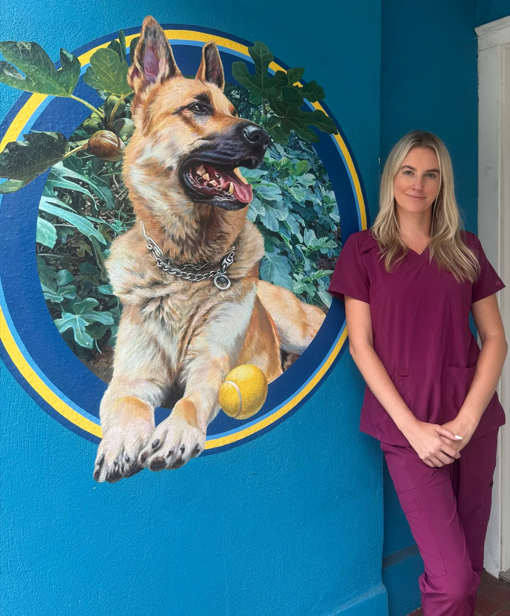 Inside the Premier Pet Services grooming salon